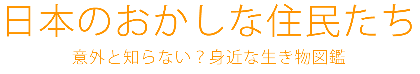日本のおかしな住民たち 意外と知らない？身近な生き物図鑑