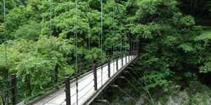 氷川小橋