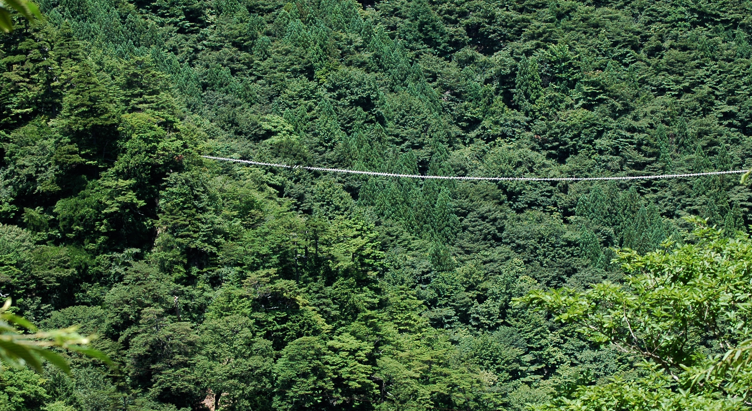 新逆河内吊橋（無想吊橋）